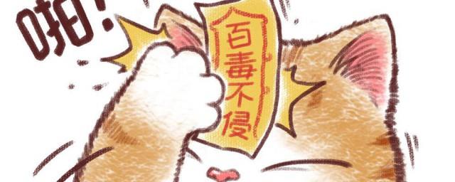 暴富暴瘦暴美的一句话