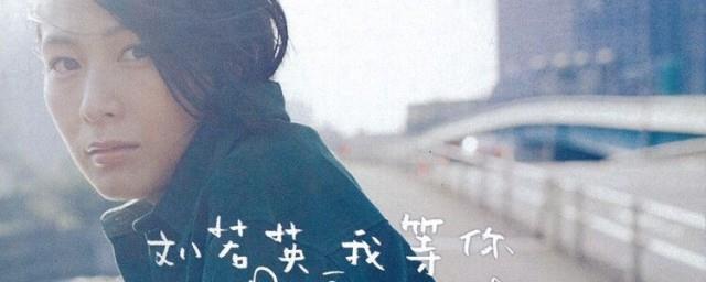 刘若英后来歌词