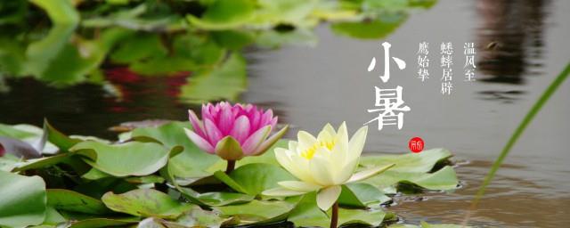 小暑怎么提醒身边朋友