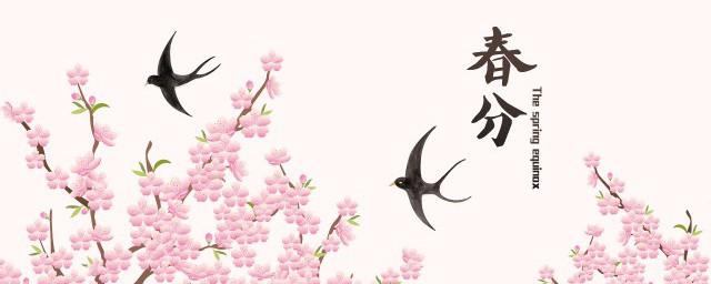 天津春分吃什么食物