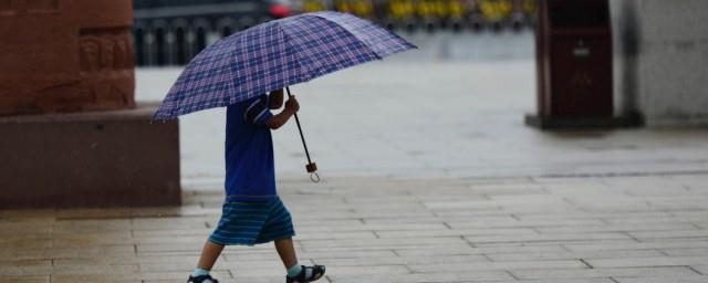 撑伞也是雨中人是什么梗