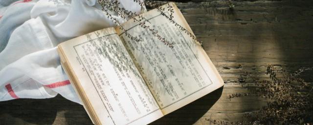 饭圈yyds是什么意思
