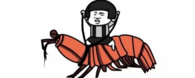 网络词皮皮虾什么意思