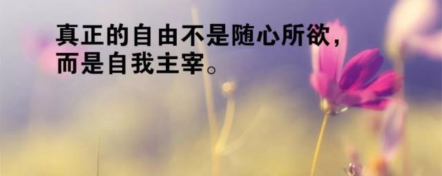 震撼心灵的人生感悟说说