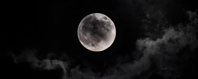 夜魅是什么意思