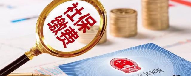 社保卡里面的钱怎么查
