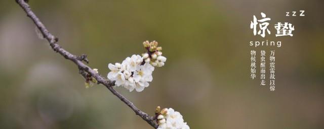 惊蛰节气养生短信大合集
