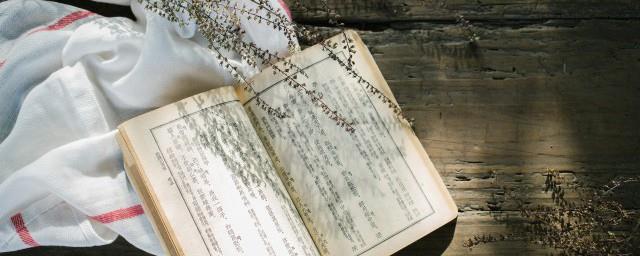对食是什么意思的