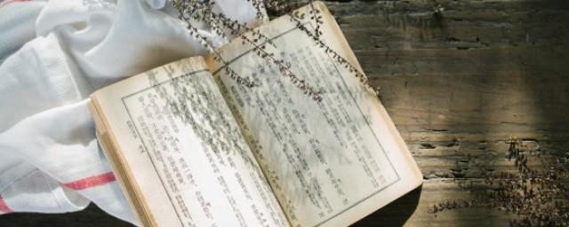 恶意小说简介
