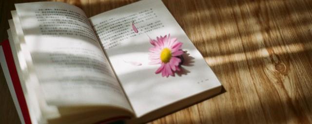 耽美校园小说有简介