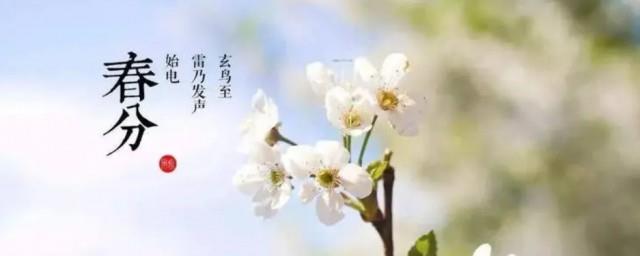 春分前面一个节气是什么节气
