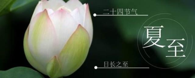 二十四节气夏至
