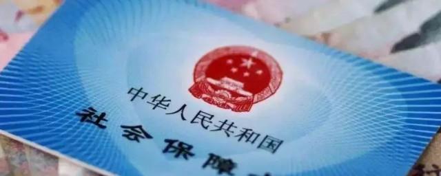 公司怎么缴纳社保