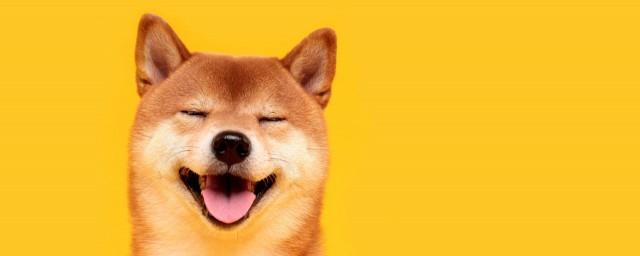 笑话句子