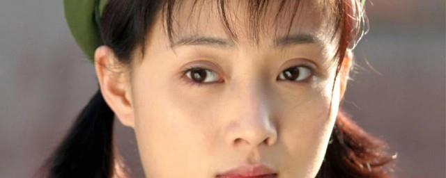 殷桃个人资料简介
