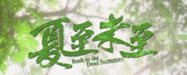 夏至未至小说简介