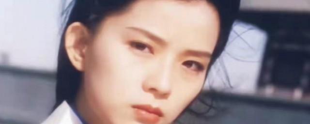 叶全真个人资料