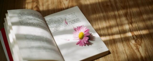大西几什么意思