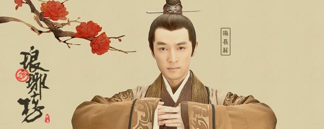 琅琊榜人物介绍详细