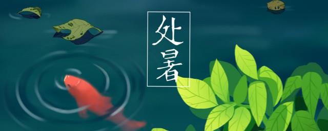 处暑的上一个节气是什么