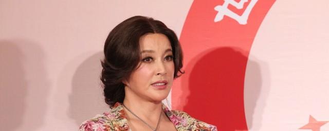 刘晓庆资料简介