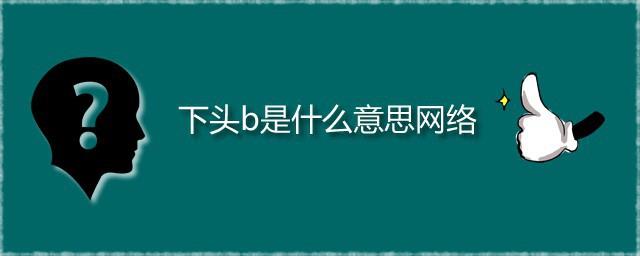下头b是什么意思网络