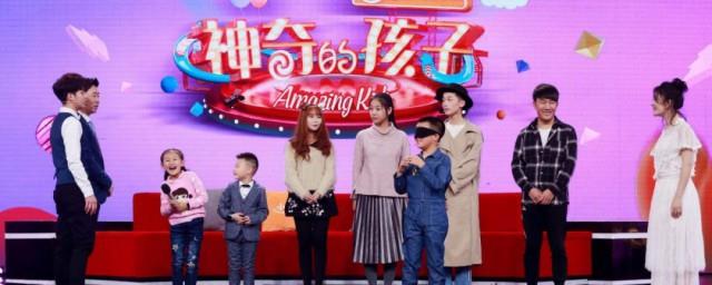 神奇的孩子主题曲歌词