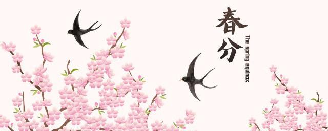 春分日日出的时间什么时候