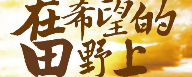 在希望的田野上剧情介绍