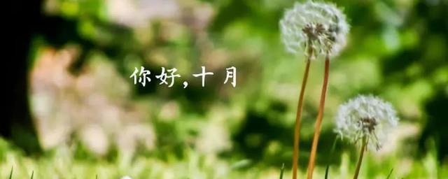 十月你好简短说说
