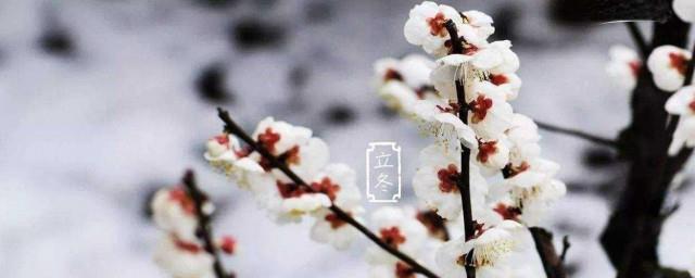 立冬暖心微信祝福语