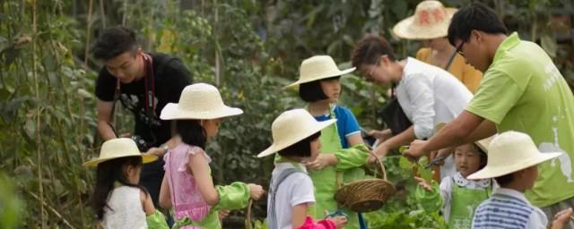 郊游剧情介绍