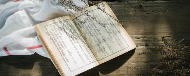 归路讲的什么