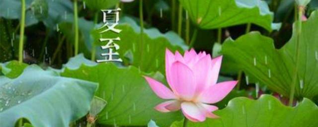 2022年夏至谚语诗句