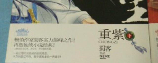 重紫剧情介绍