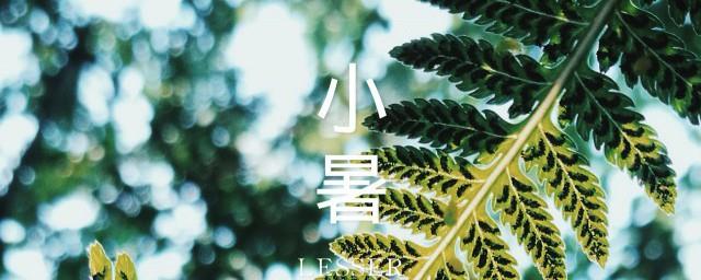 夏至后面的节气