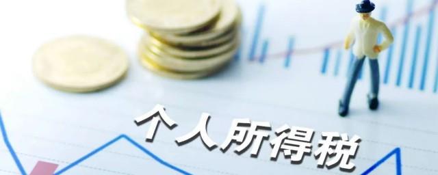 个税怎么查