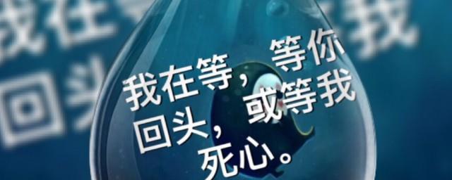 死心的句子说说心情