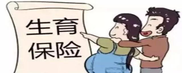 生育保险是什么意思