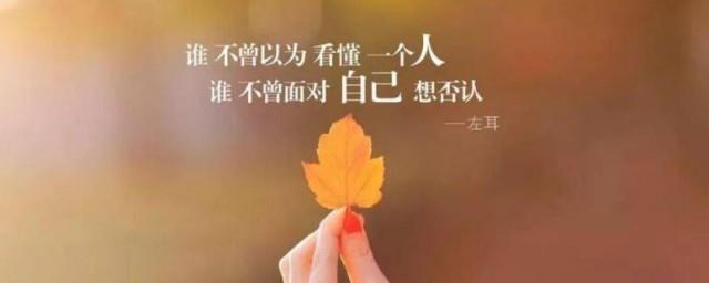 半年发朋友圈的句子