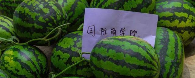 陕西吃瓜大学