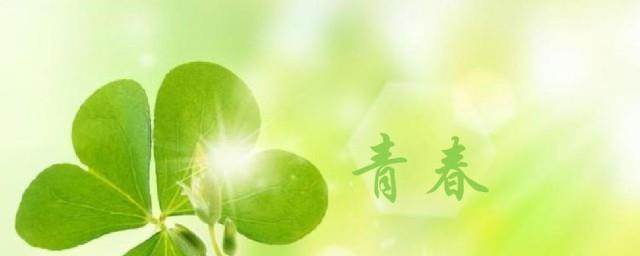 珍惜青春的名言