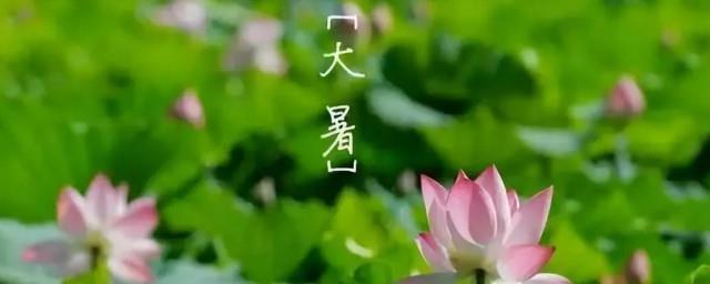 大暑的节气有什么讲究