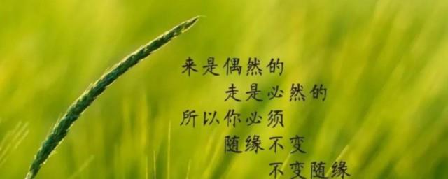 名人名言短句8字