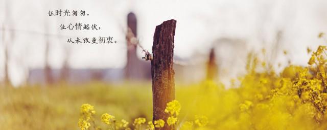 三年时光经典语录