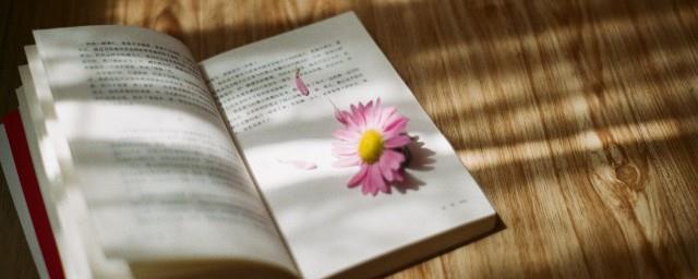 盼望病人早日康复诗句