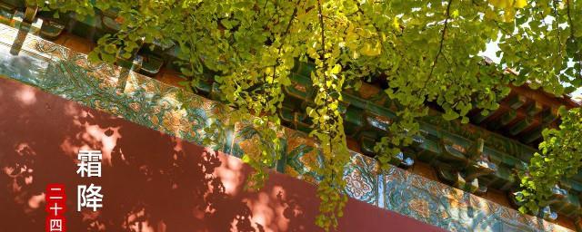 霜降是什么季节