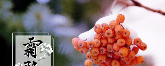 霜降节气微信朋友圈祝福语