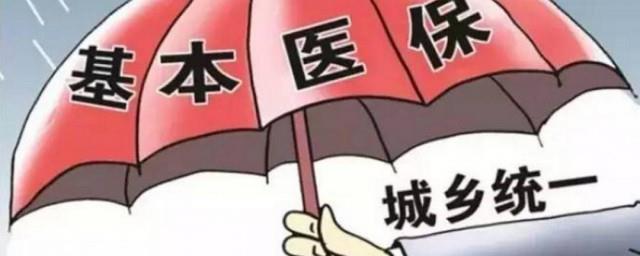 地方农村医保缴费标准
