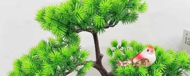 松树寓意
